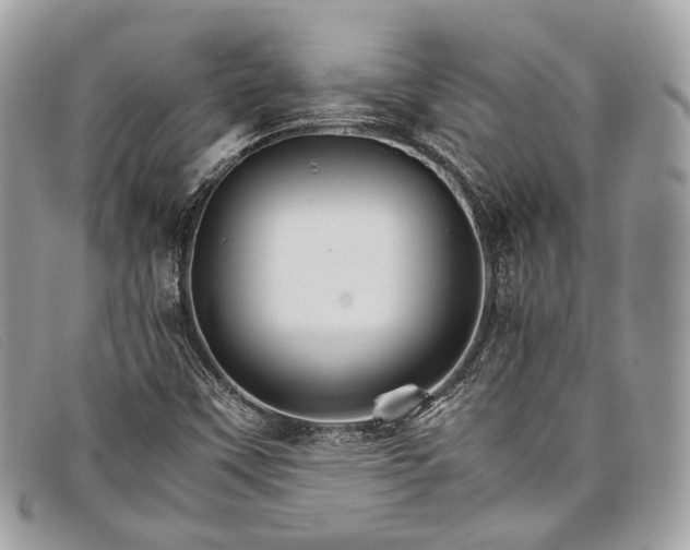 X0000098041451200804111334
