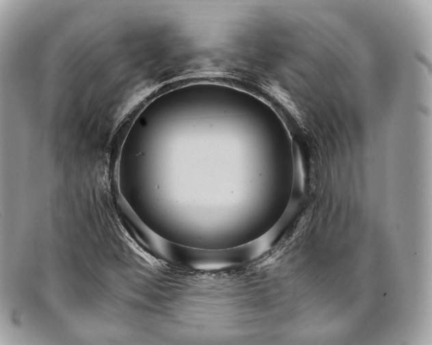 X0000098041452200804111334
