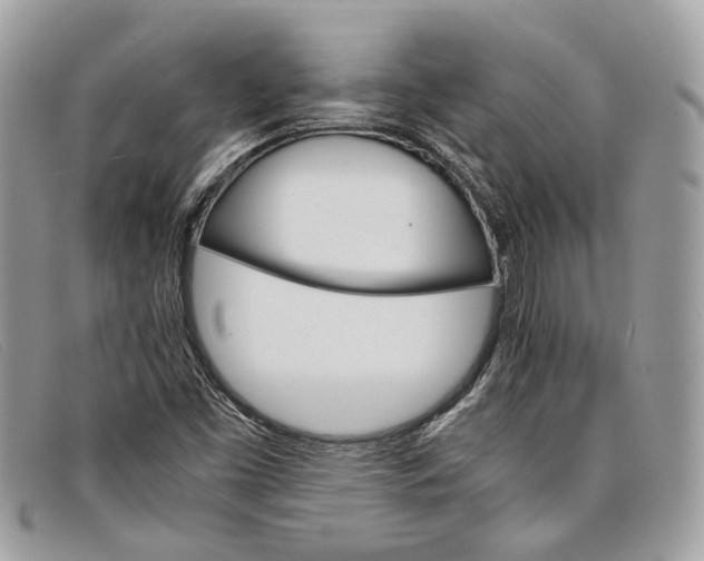 X0000098041453200804111334