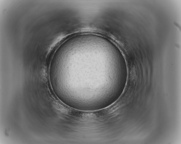 X0000098041454200804111334