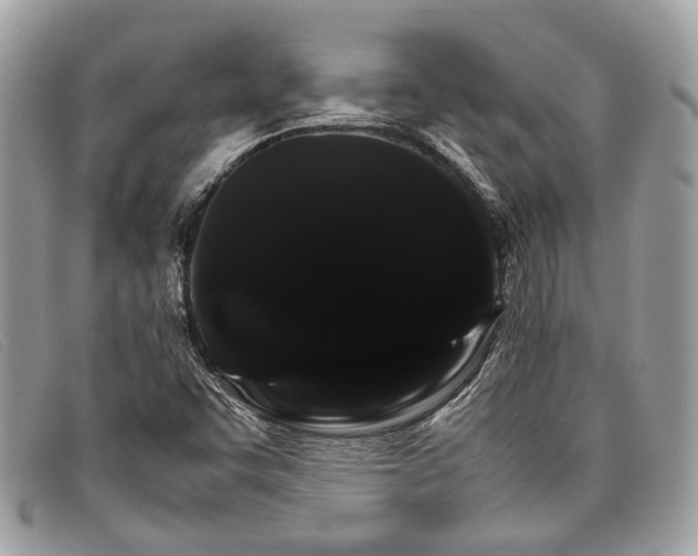 X0000098041455200804111334