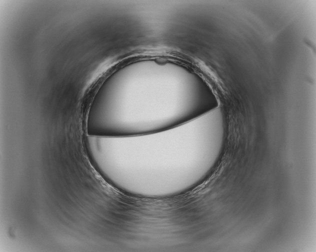 X0000098041456200804111334