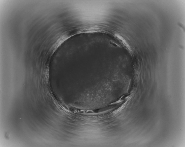 X0000098041457200804111334