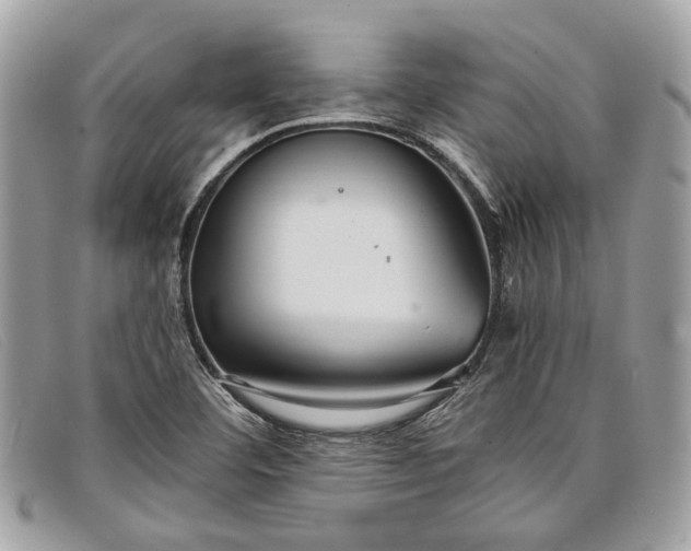 X0000098041460200804111334