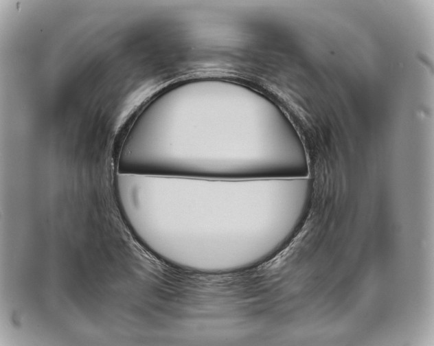 X0000098041461200804111334