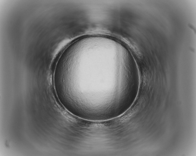 X0000098041462200804111334