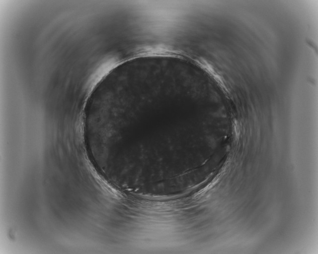 X0000098041463200804111334