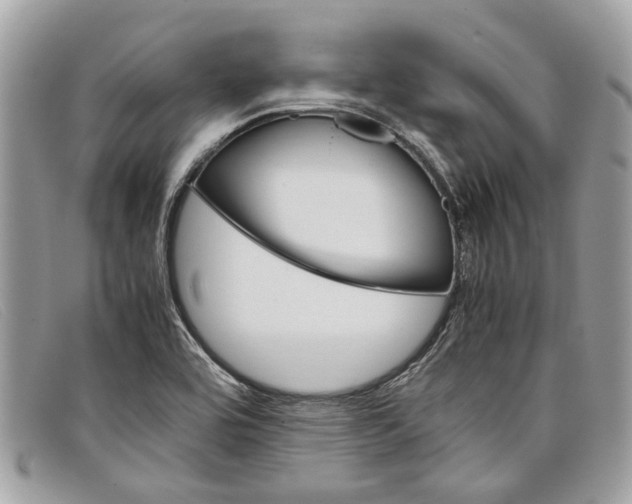X0000098041464200804111334