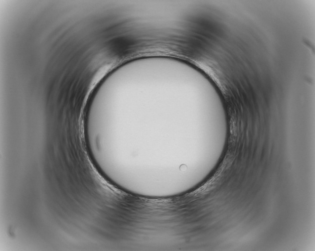 X0000098041466200804111334
