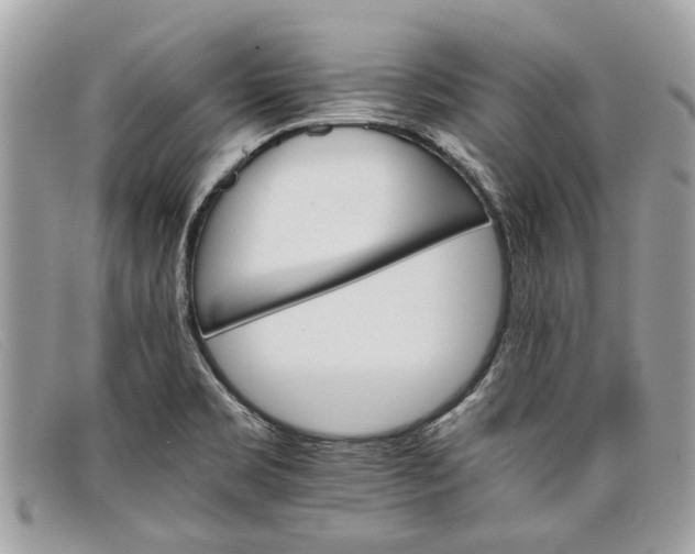 X0000098041469200804111334