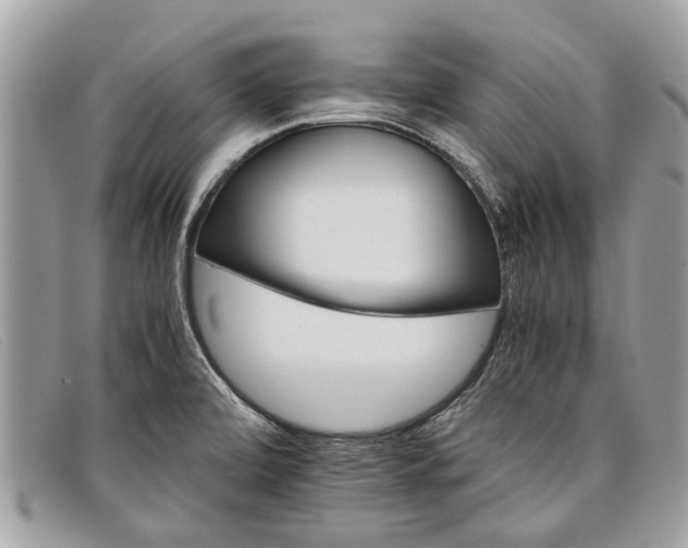 X0000098041472200804111334