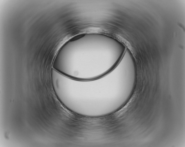 X0000098041473200804111334