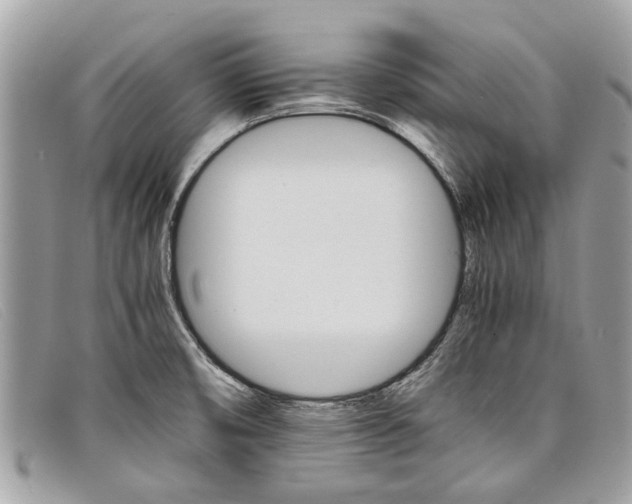 X0000098041474200804111334