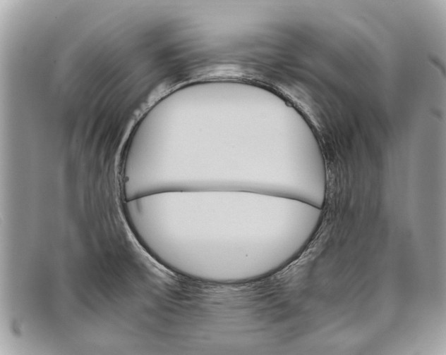X0000098041475200804111334
