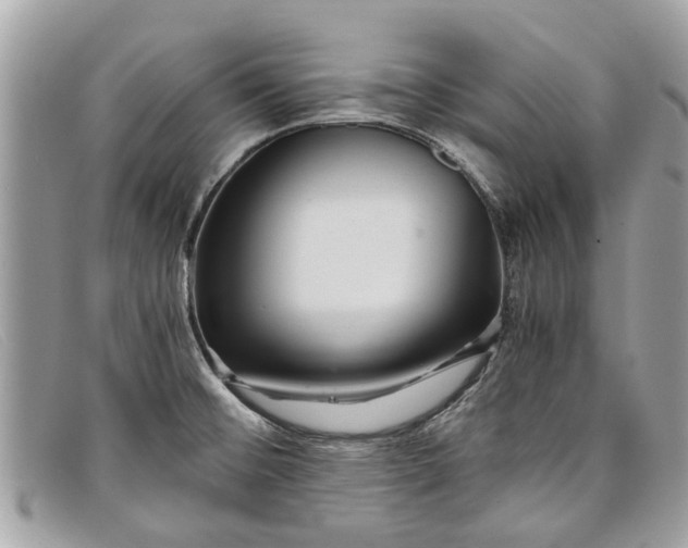 X0000098041476200804111334