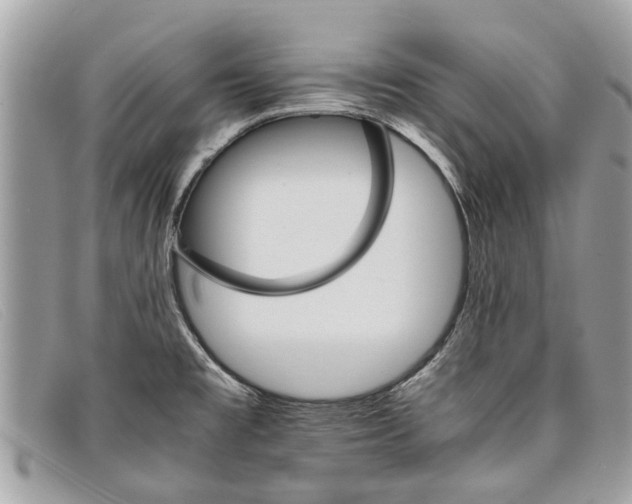 X0000098041477200804111334
