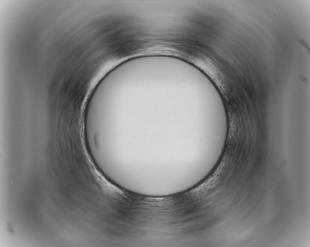 X0000098041478200804111334