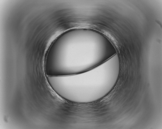 X0000098041480200804111334