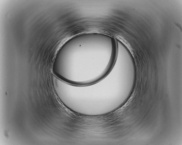 X0000098041481200804111334