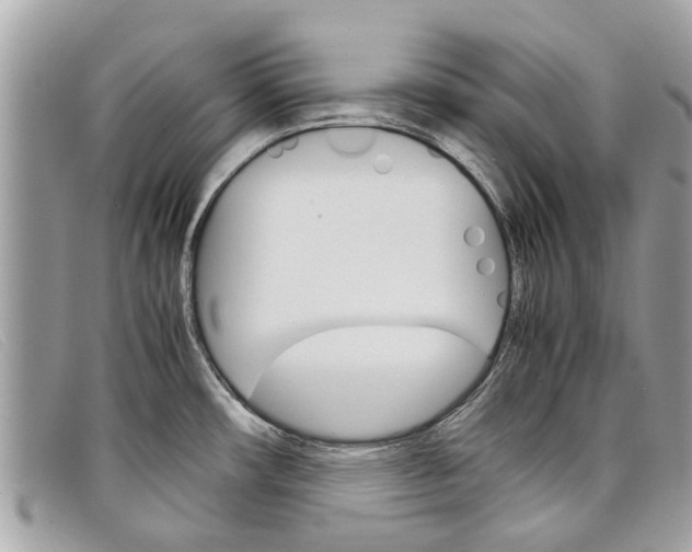X0000098041482200804111334