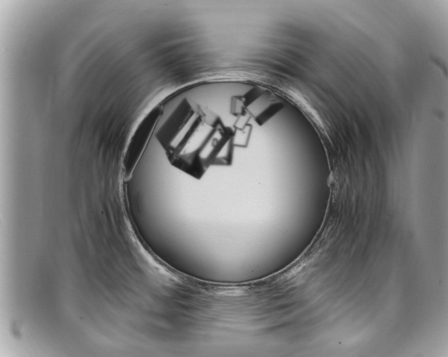 X0000098041484200804111334