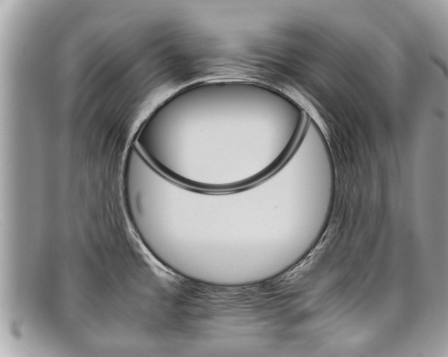 X0000098041485200804111334