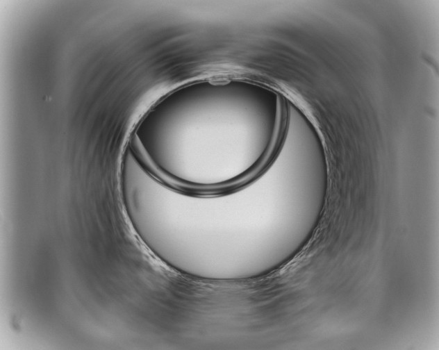 X0000098041488200804111334