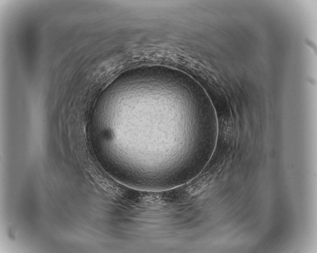 X0000098041489200804111333