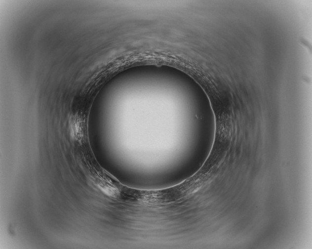 X0000098041490200804111333