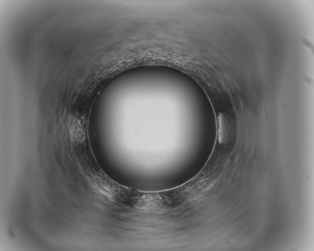 X0000098041491200804111333