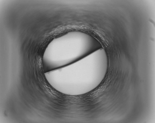 X0000098041492200804111333