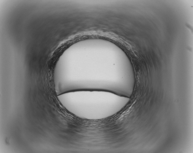 X0000098041494200804111333