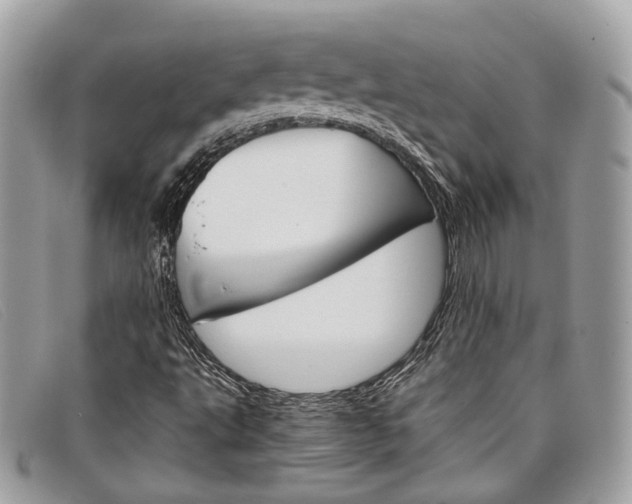 X0000098041495200804111333