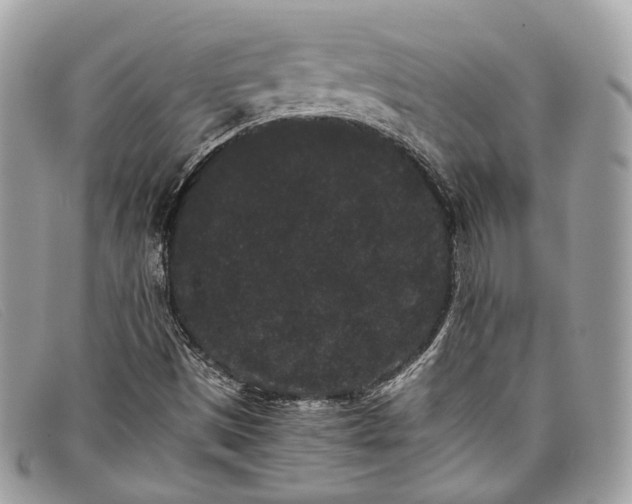 X0000098041497200804111333