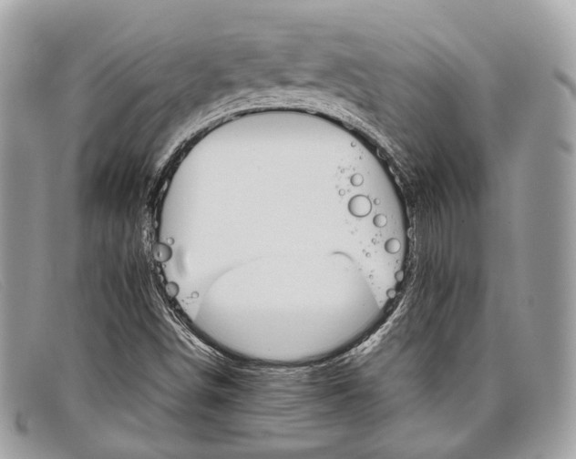 X0000098041498200804111333