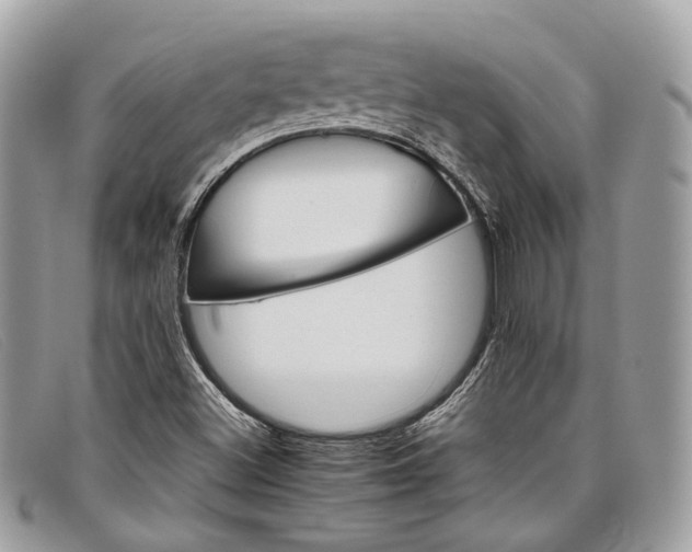 X0000098041500200804111333