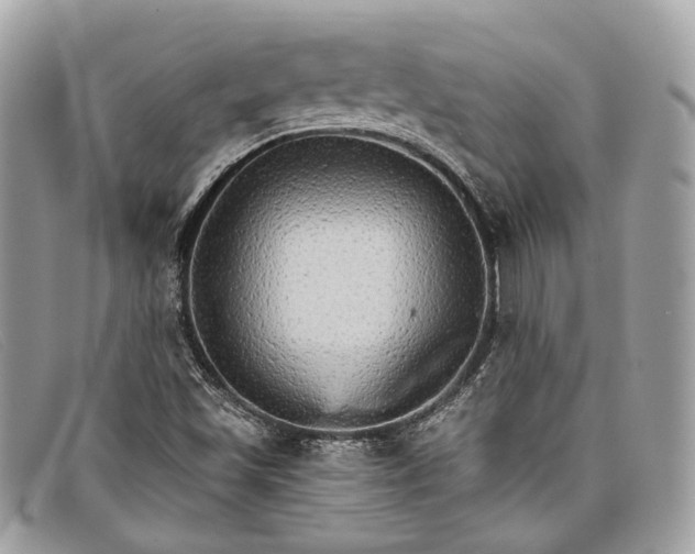 X0000098041501200804111333