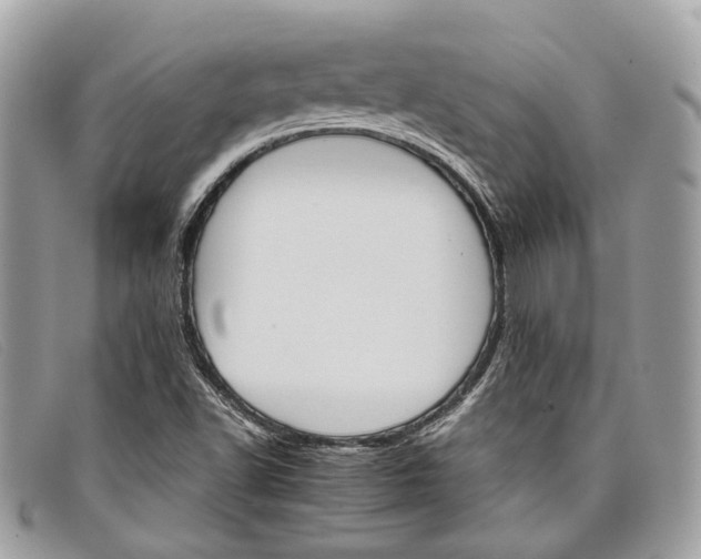 X0000098041502200804111333