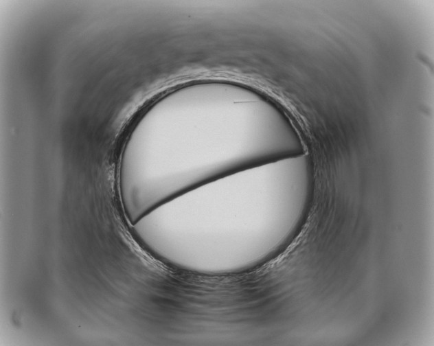 X0000098041503200804111333