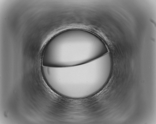 X0000098041504200804111333