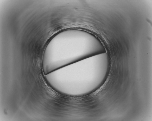 X0000098041505200804111333