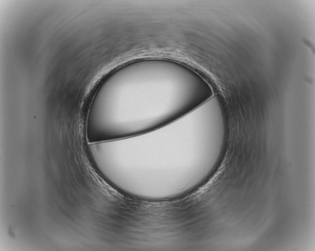 X0000098041506200804111333