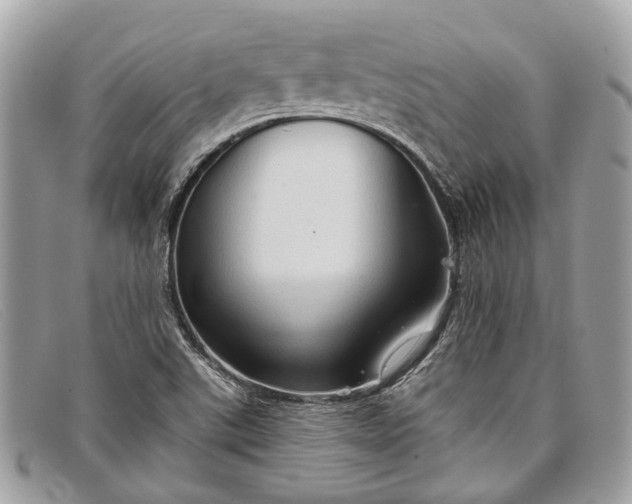 X0000098041507200804111333