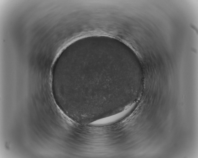 X0000098041508200804111333