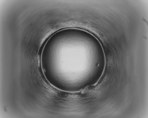 X0000098041509200804111333