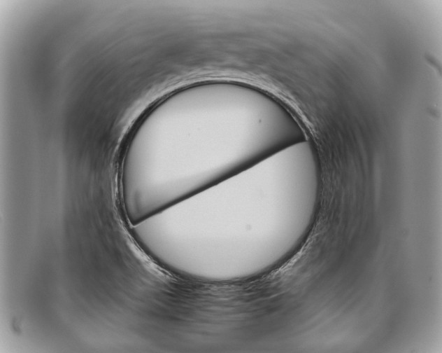 X0000098041511200804111333