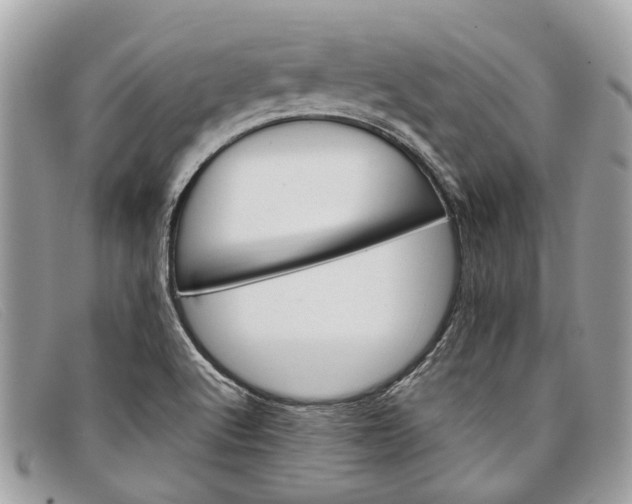 X0000098041512200804111333
