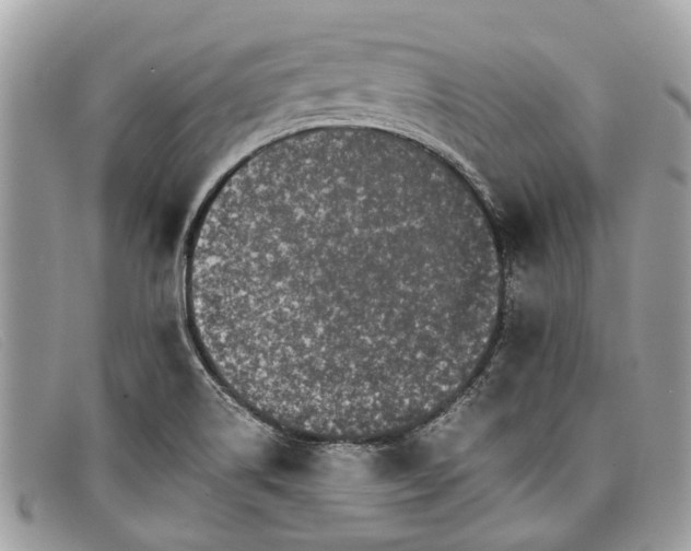X0000098041514200804111333