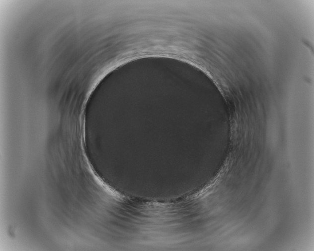 X0000098041515200804111333