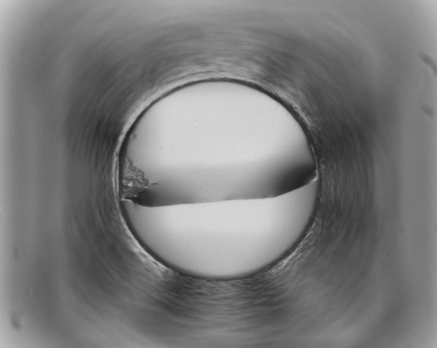X0000098041516200804111334